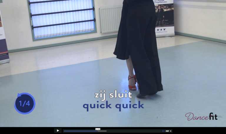 Dansschool Dance Fit E learning preview 2
