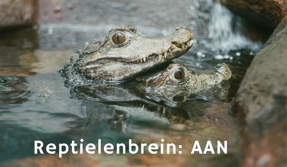 Reptielenbrein AAN