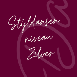 Dansles Stijldansen in Leiden - Zilver