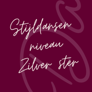Stijldansen niveau Zilver ster (maandag)