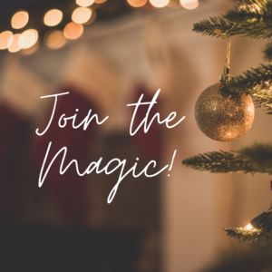 Dance Fit Christmas Gala 202