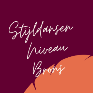 Stijldansen niveau Brons