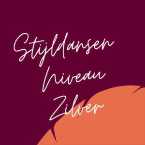 Stijldansen niveau Zilver (maandag)