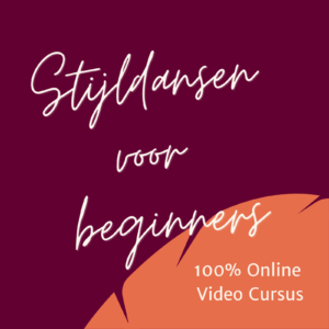Stijldansen voor Beginners Online course