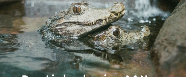 Reptielenbrein AAN